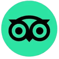 Tripadvisor Reviews