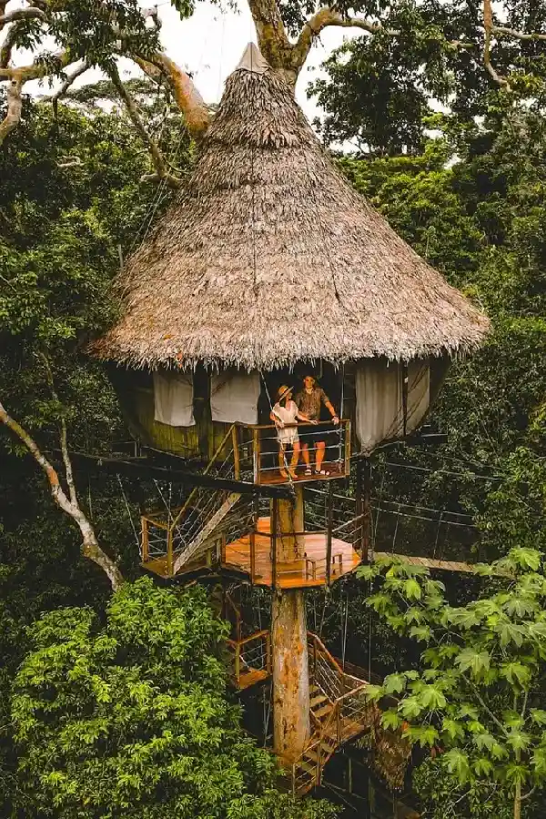 Tree House - Iquitos Amazon