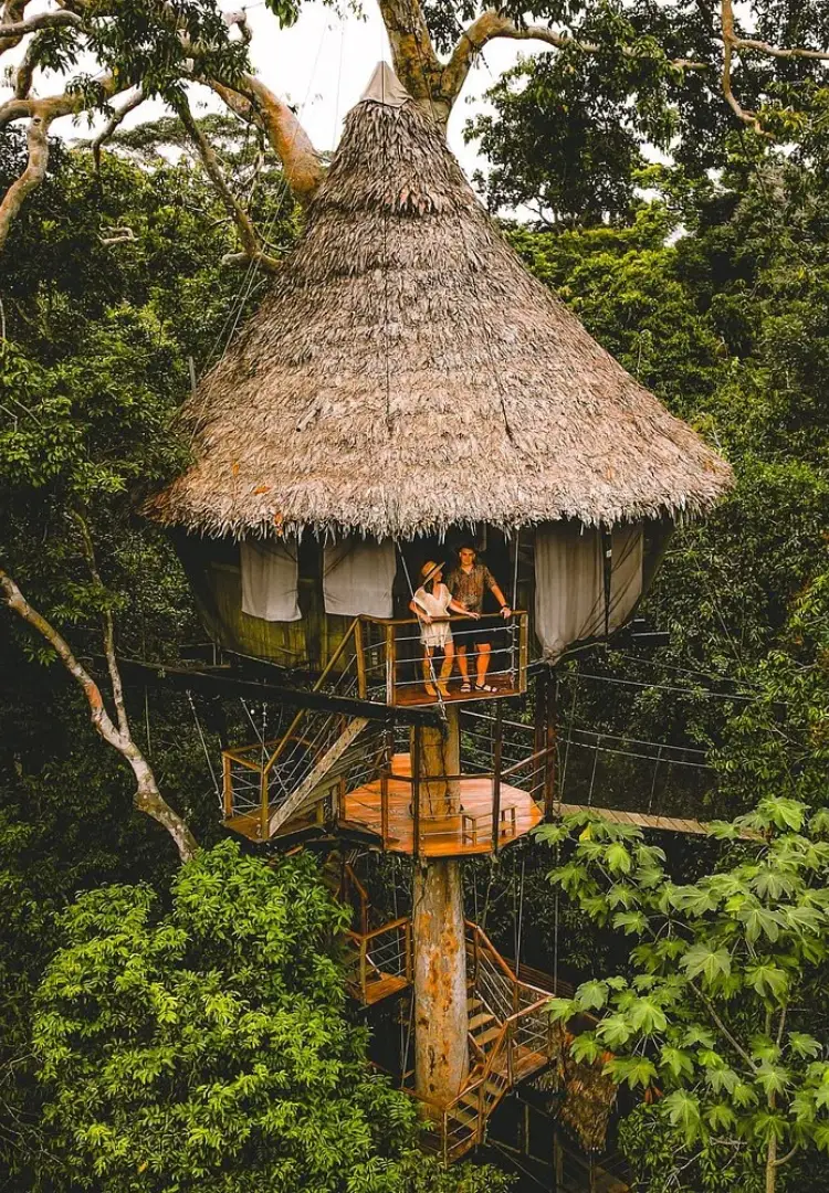 Tree House - Iquitos Amazon
